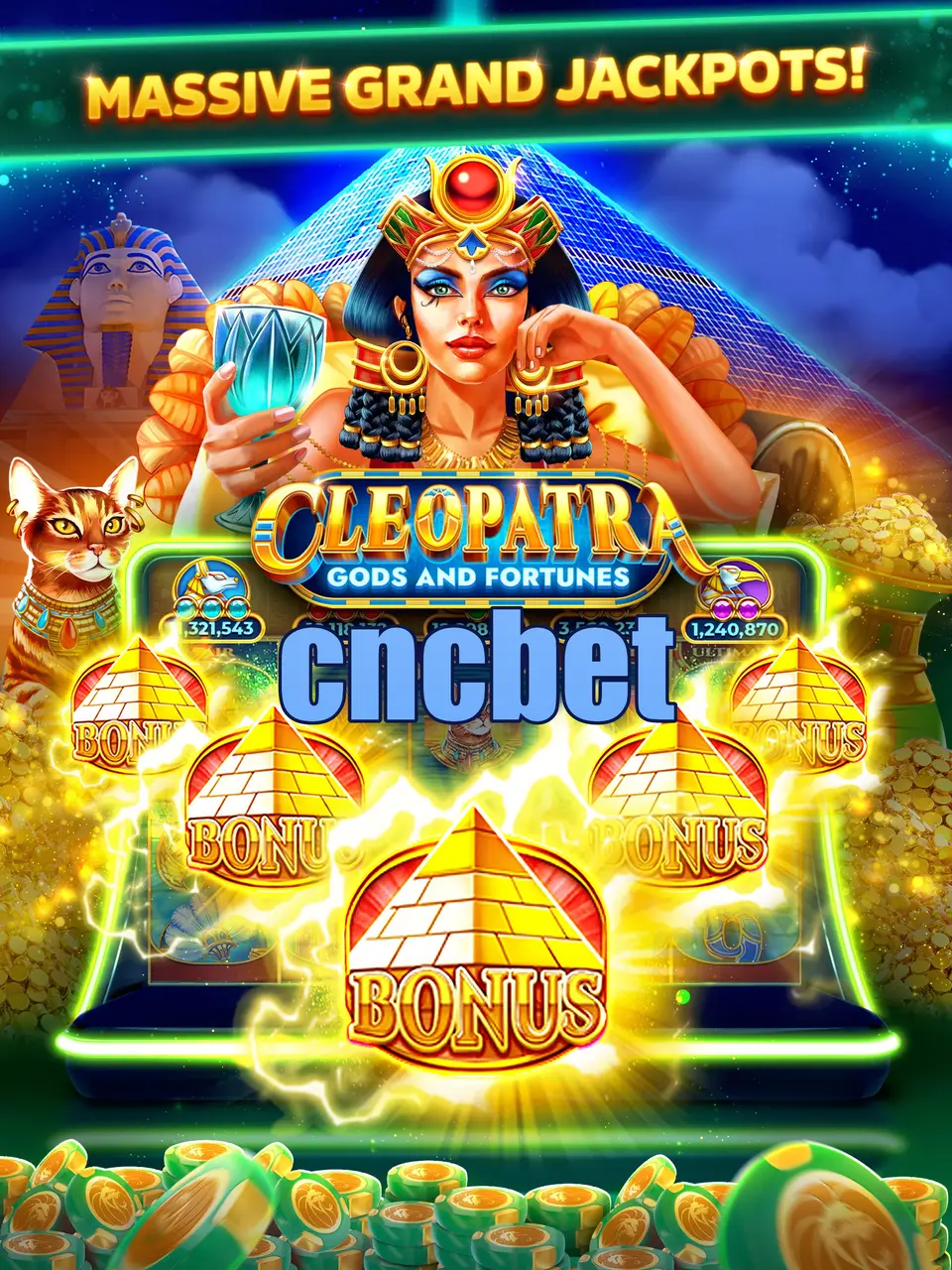 cncbet Masuk